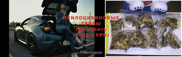 крисы Армянск